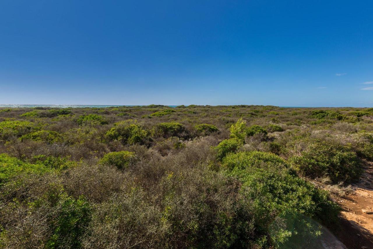 Villetta Sofia Porto Cesareo Εξωτερικό φωτογραφία